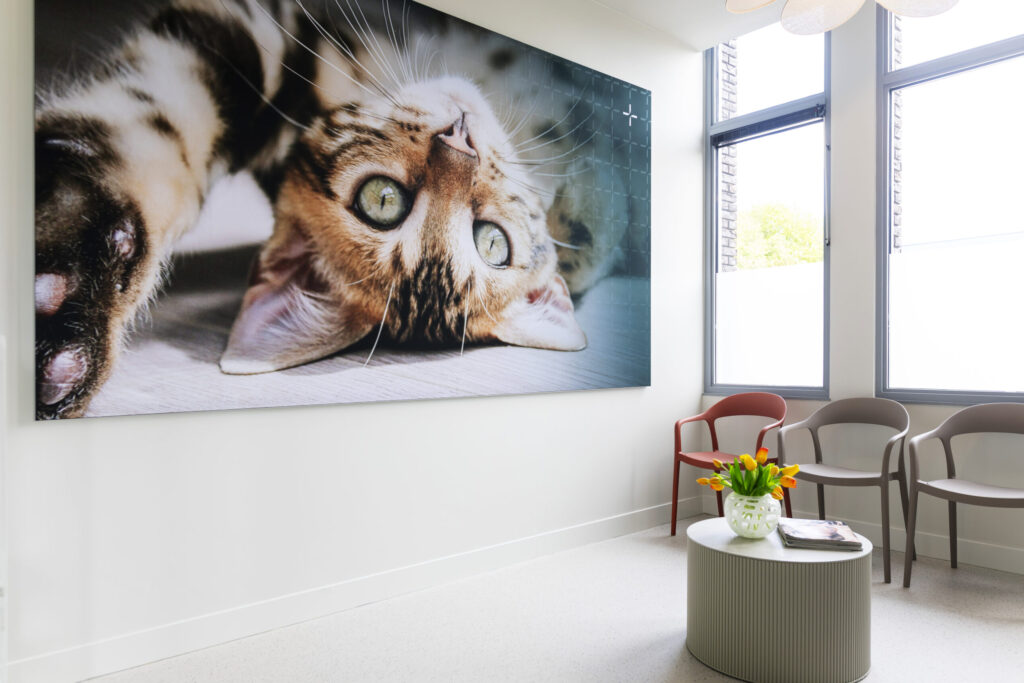 Dierenkliniek Joure