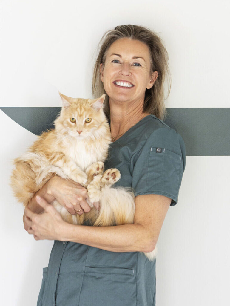 Dierenarts en praktijkeigenaar Johanna Bosma - Dierenkliniek Joure - Spoed, opname, katten, Tandheelkunde, Echografie, Hartecho, Gebit huisdier, Konijn, Cavia, Knaagdier - Heerenveen - dierenkliniek Lemmer, Sneek, Laparoscopie