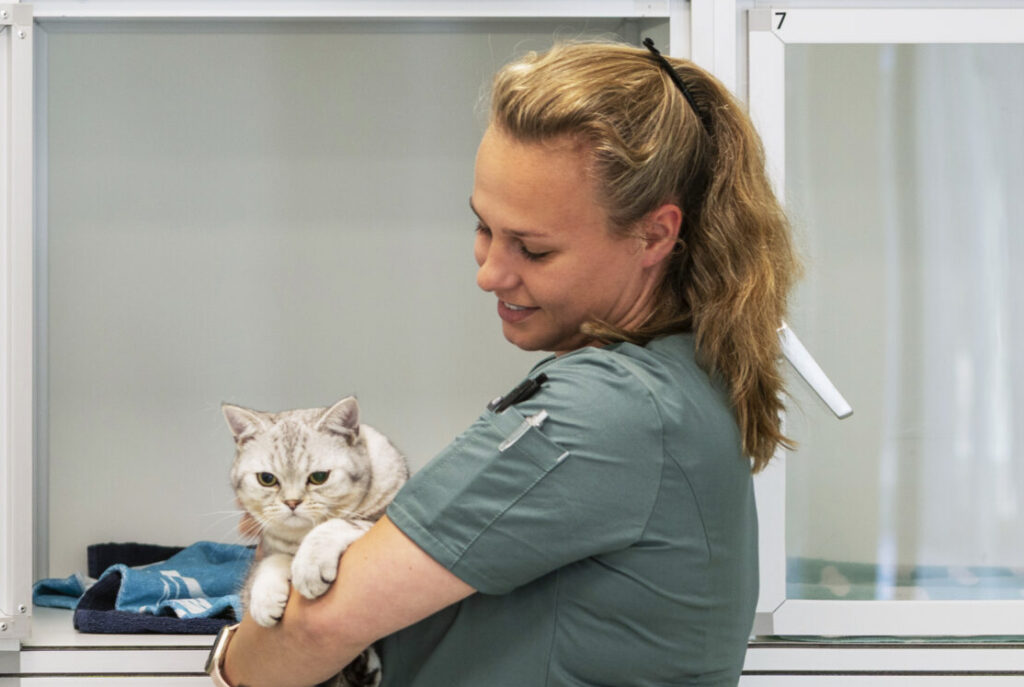 Dierenkliniek Joure - Opnamezorg Huisdier - zelfstandige dierenarts voor huisdieren in Joure, Heerenveen, Sneek, Lemmer en verdere omgeving Friese Meren.