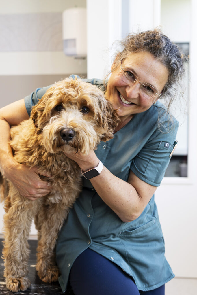 Dierenarts Pauline Rutjes - Dierenkliniek Joure - Spoed, opname, katten, Tandheelkunde, Echografie, Hartecho, Gebit huisdier, Konijn, Cavia, Knaagdier - Heerenveen - dierenkliniek Lemmer, Sneek, Laparoscopie