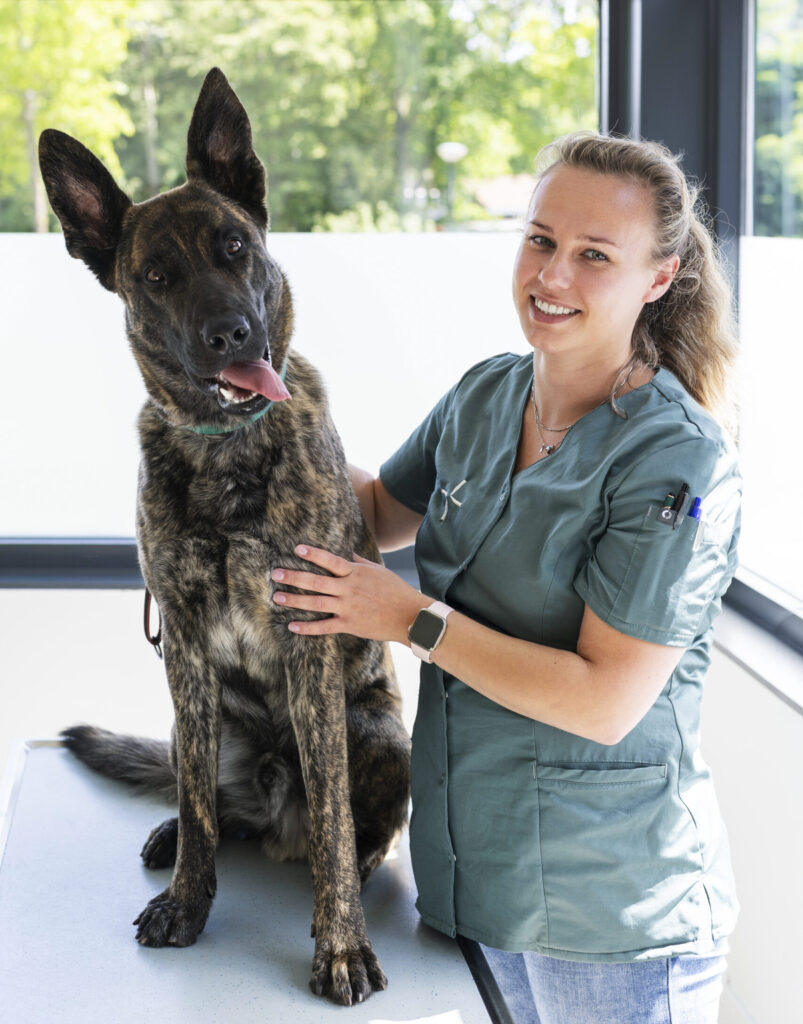 Paraveterinair Erna - Dierenkliniek Joure
