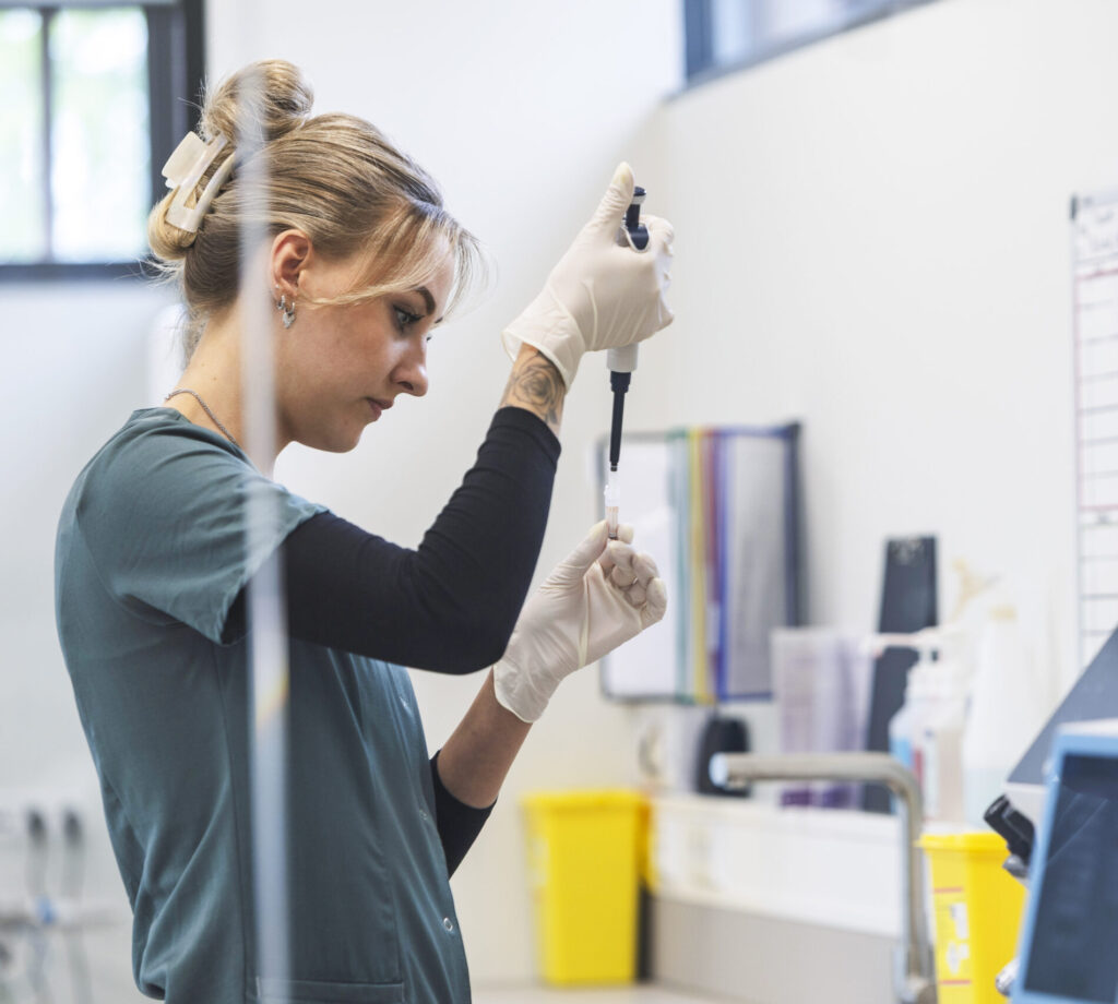 Dierenkliniek Joure - bloedonderzoek huisdier - zelfstandige dierenarts voor huisdieren in Joure, Heerenveen, Sneek, Lemmer en verdere omgeving Friese Meren.